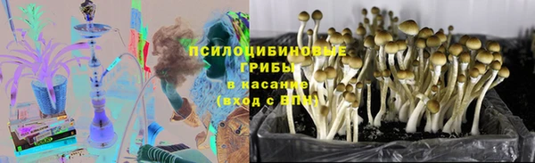 индика Липки