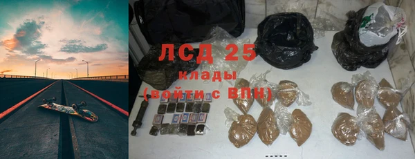 индика Липки