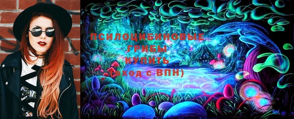 индика Липки