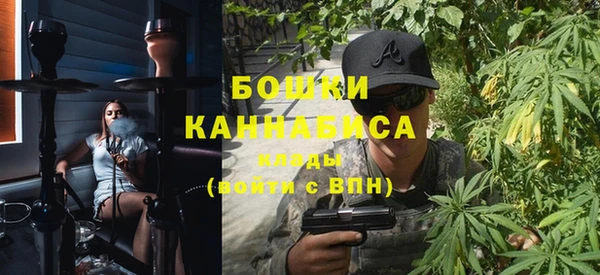 индика Липки